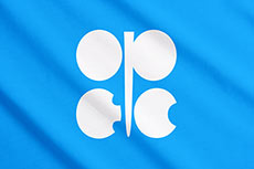 EIA: OPEC production to grow in 2022 
