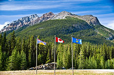 Parkland to acquire Chevron Canada's downstream fuel business