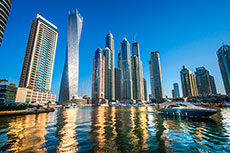 Wood selected for methanol plant in the UAE