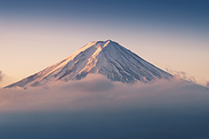 Facing decarbonisation