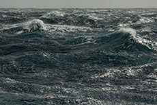 Savage acquires assets