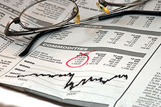 GC purchases 49% of shares in chemical company RGL